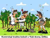 /album/vtip-tydne/bobule-png/